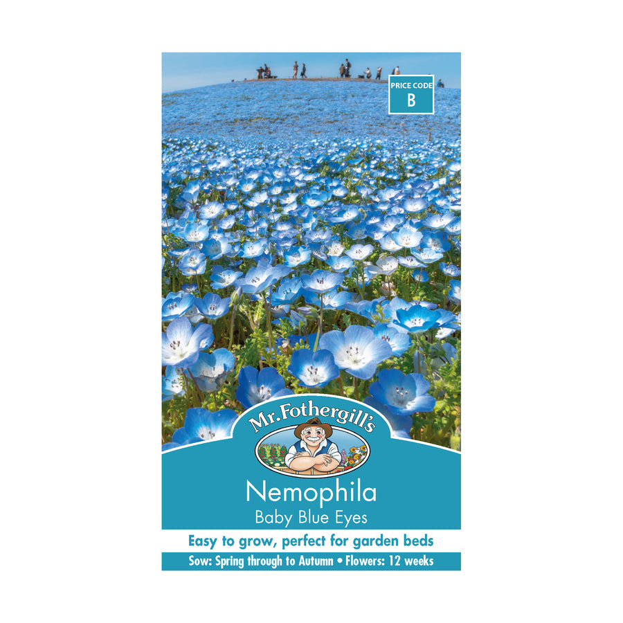 Nemophila 'Baby Blue Eyes' Seeds – Northcote Nursery