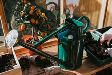 Load image into Gallery viewer, Haws &#39;The Bearwood Brook&#39; Watering Can 4.5L - Green
