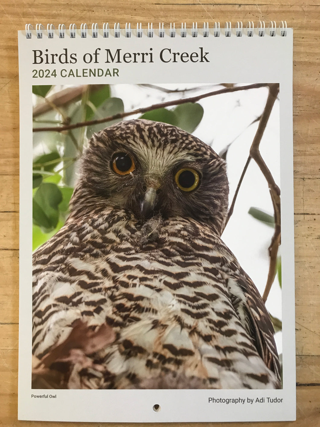 Birds of Merri Creek 2024 Calendar