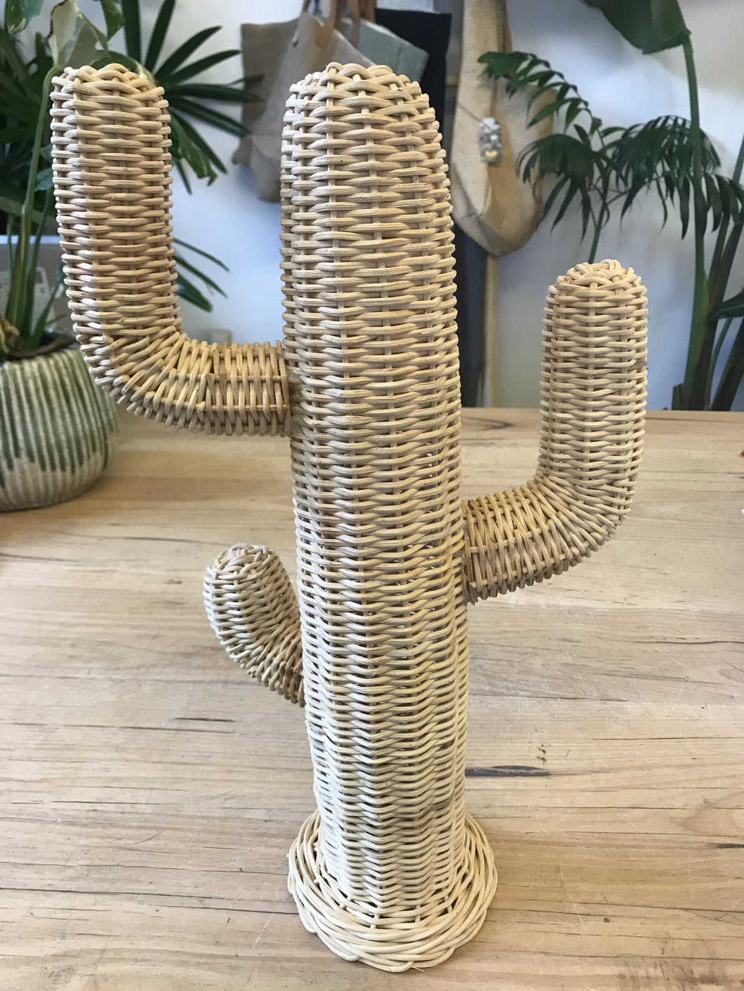 Rattan Suguaro Cacti