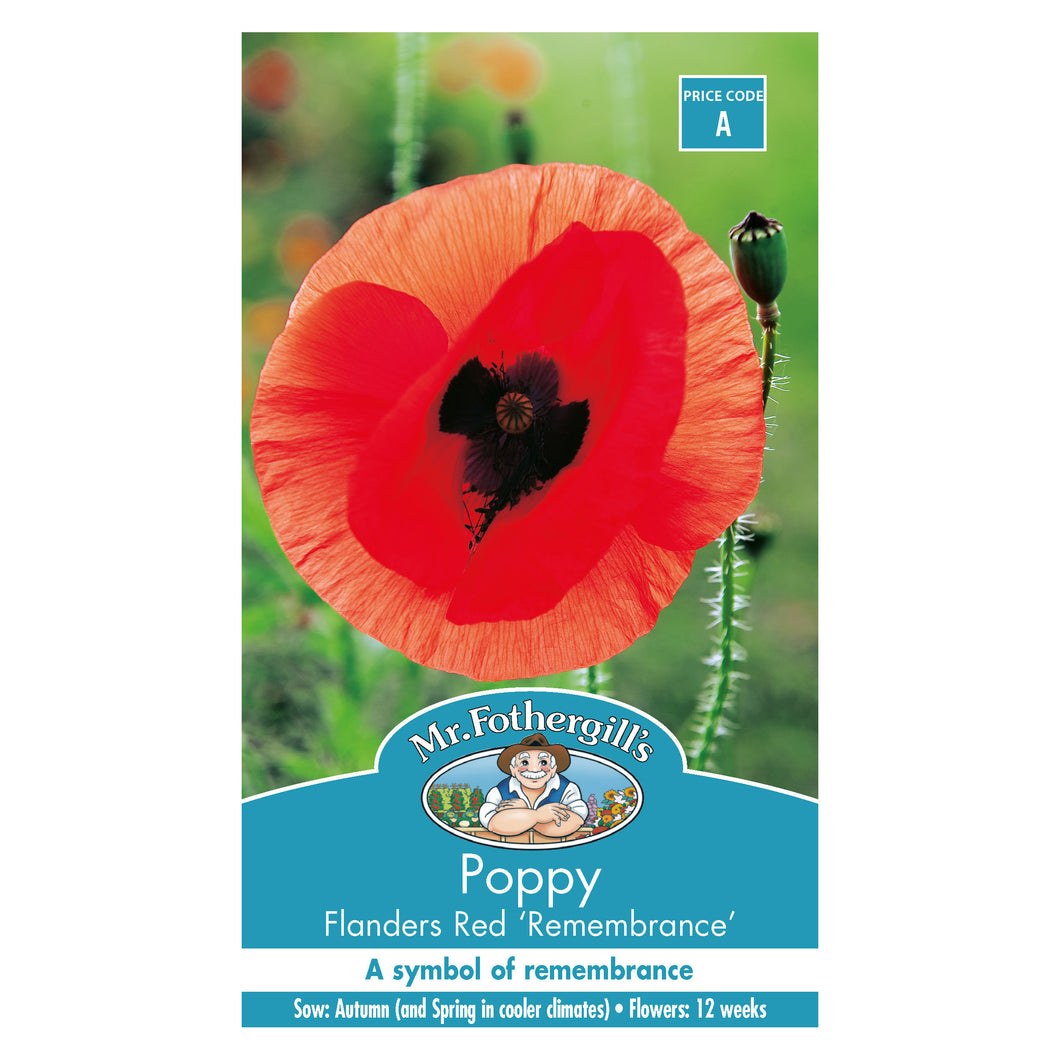 Poppy Flanders Red 'Remembrance' seeds