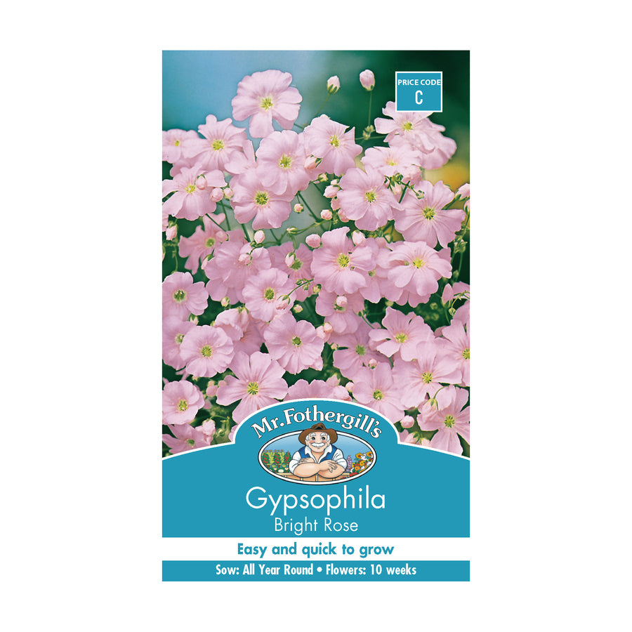 Gypsophila 'Bright Rose' seeds