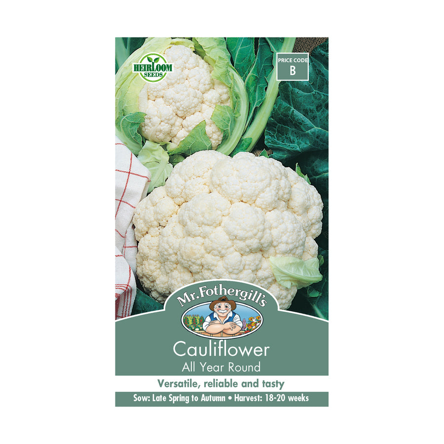 Cauliflower 'All Year Round' Seeds