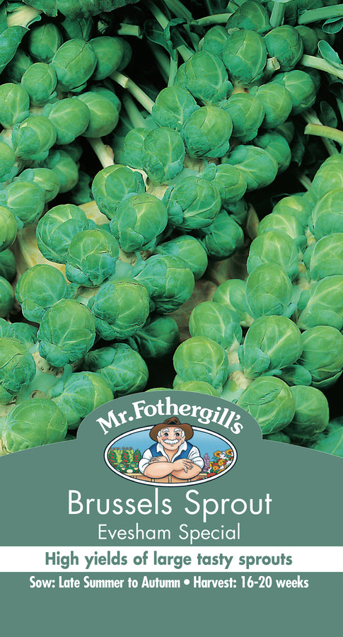 Brussels Sprout 'Evesham Special' Seeds