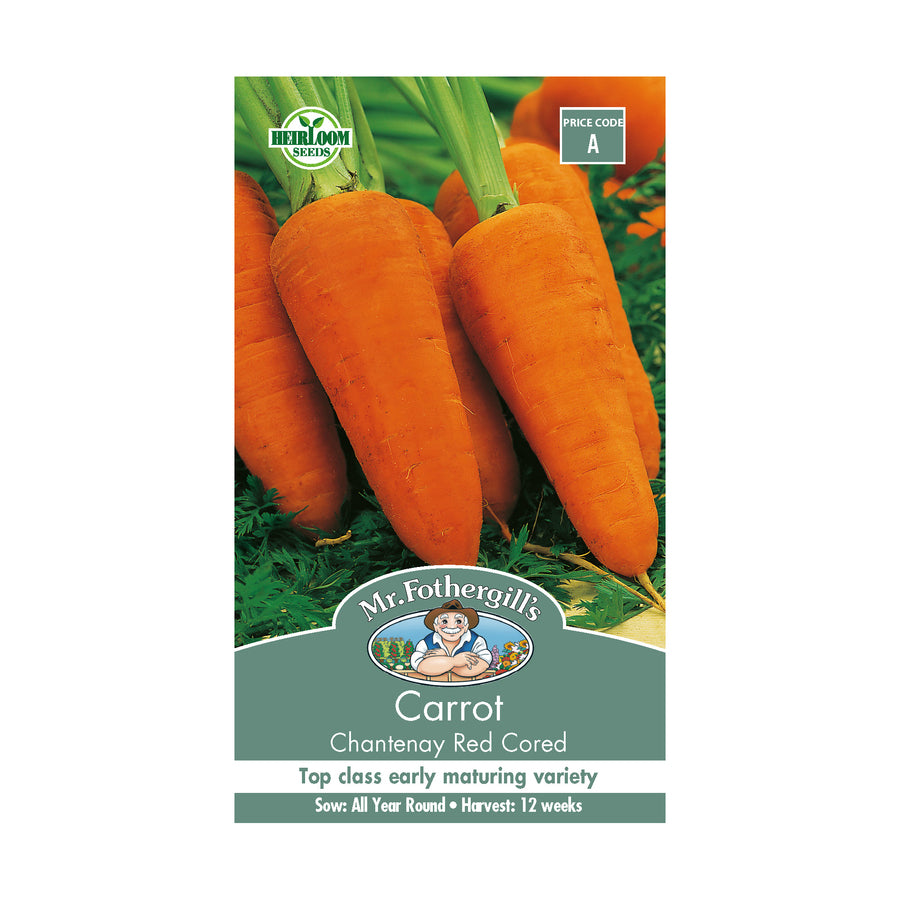 Carrot 'Chantenay Red Cored'