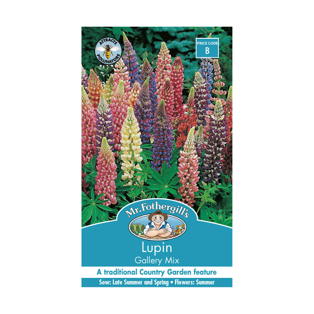 Lupin 'Gallery Mix' Seeds