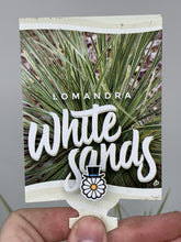Load image into Gallery viewer, Lomandra &#39;White Sands&#39;
