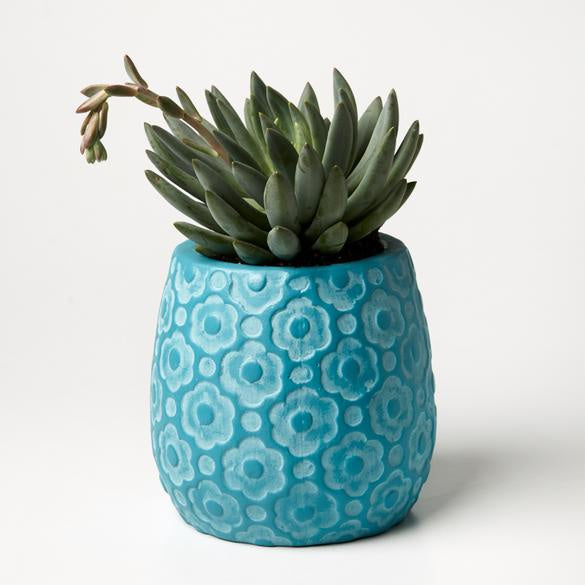 Ditsy Planter Teal