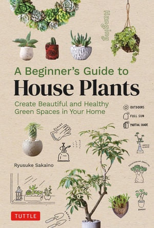 A Beginner’s Guide to House Plants