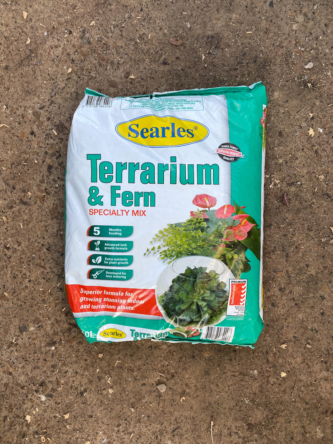 Terrarium & Fern Specialty Mix
