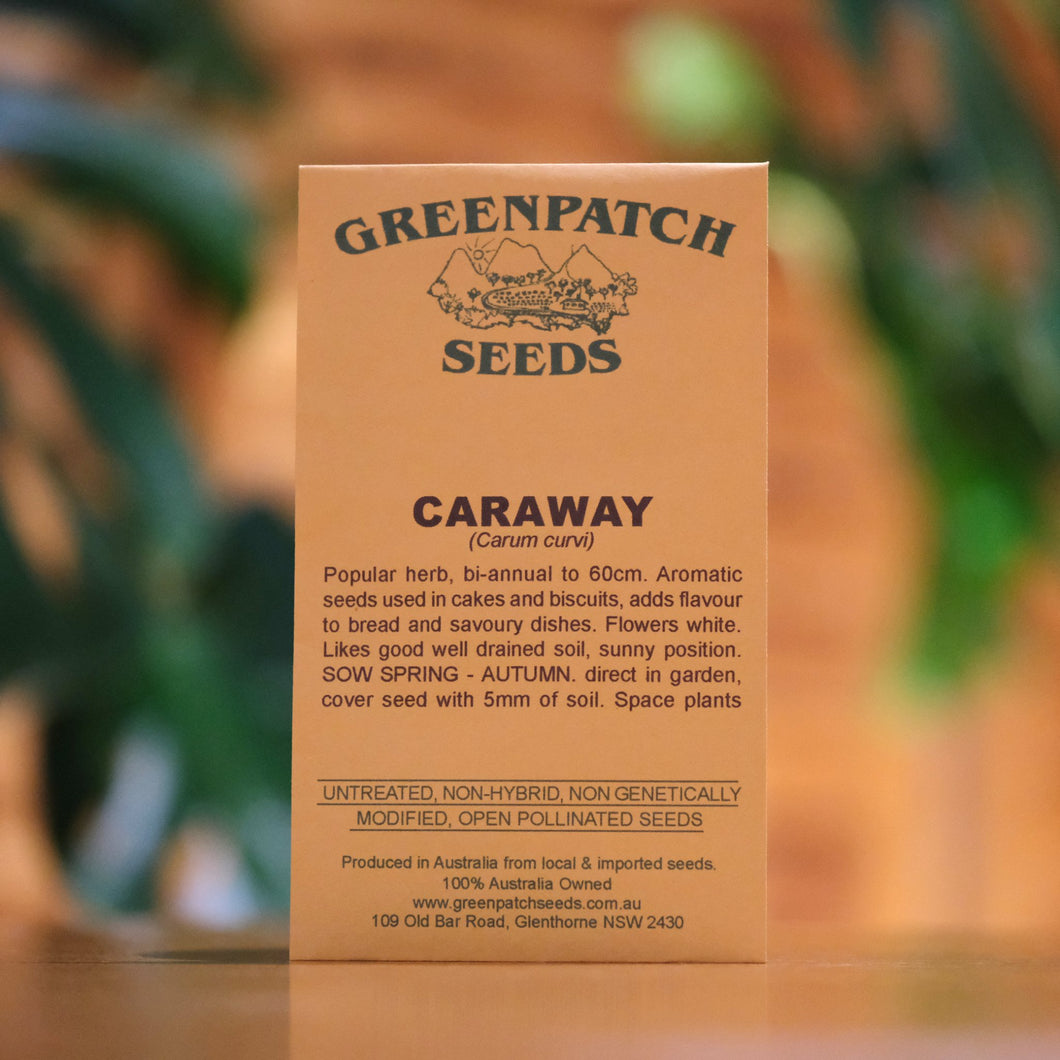 Carraway Greenpatch Seeds
