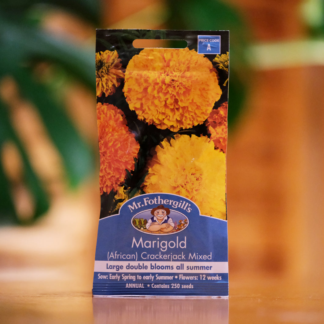 Marigold (African) 'Crackerjack Mixed' seeds