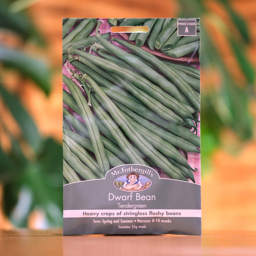 Bean - Dwarf 'Tendergreen' seeds