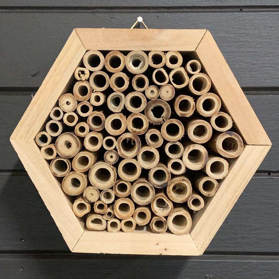 Insect Hotel - Hexagon Bamboo