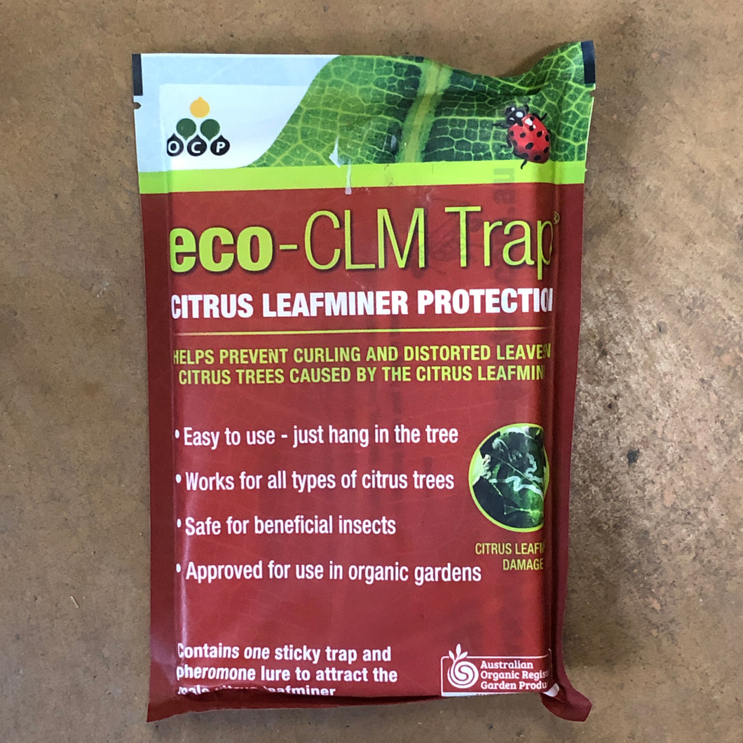 eco–Citrus Leafminer Trap