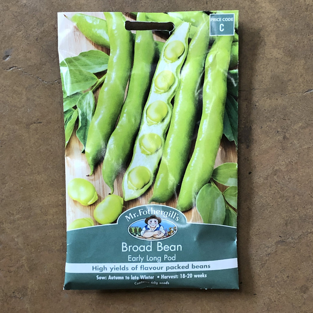 Broad Bean 'Early Long Pod' seeds