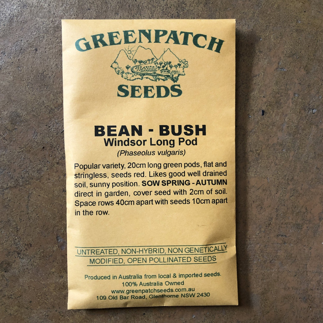 Bean – Bush 'Windsor Long Pod' Greenpatch Seeds
