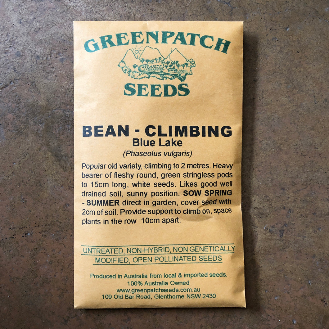 Bean – Climbing 'Blue Lake' Greenpatch Seeds