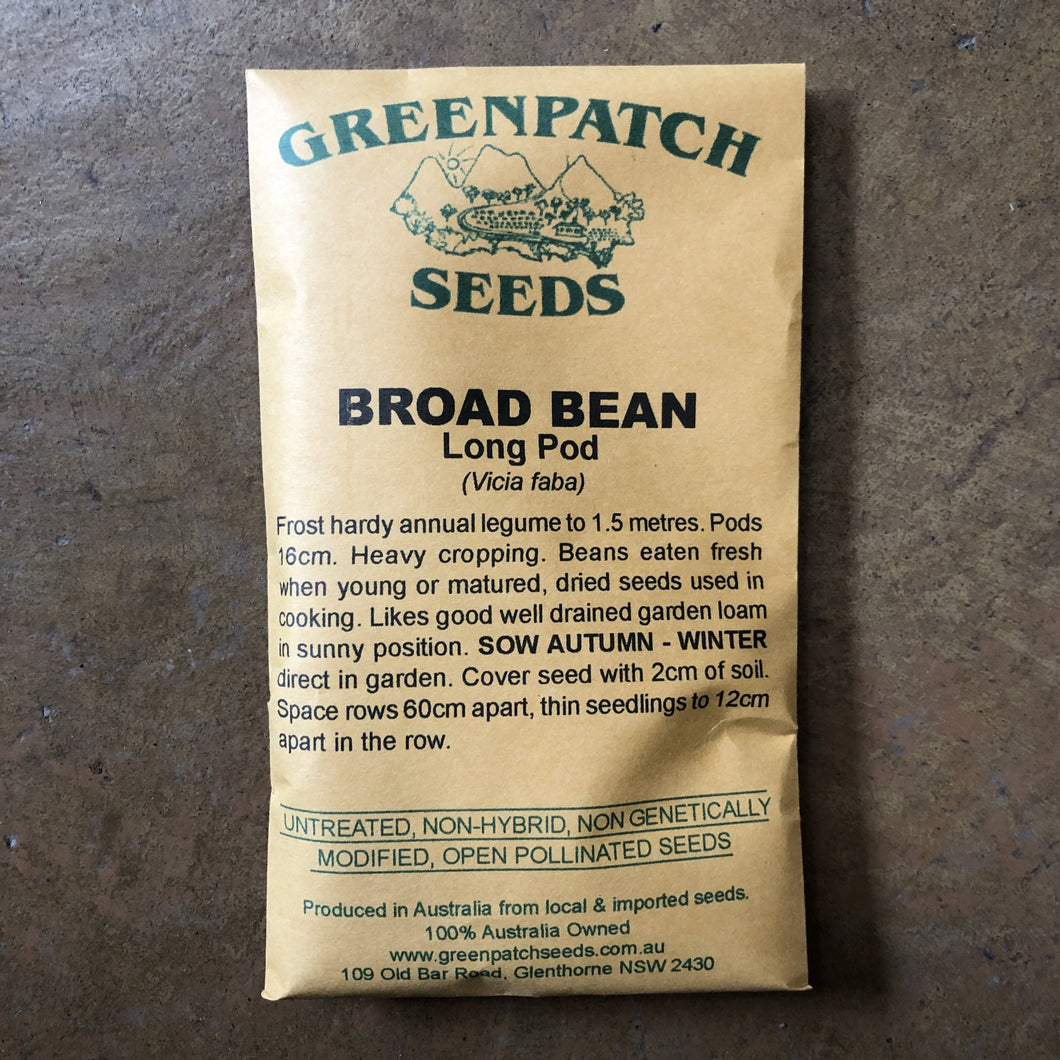 Broad Bean 'Long Pod' - Greenpatch Seeds