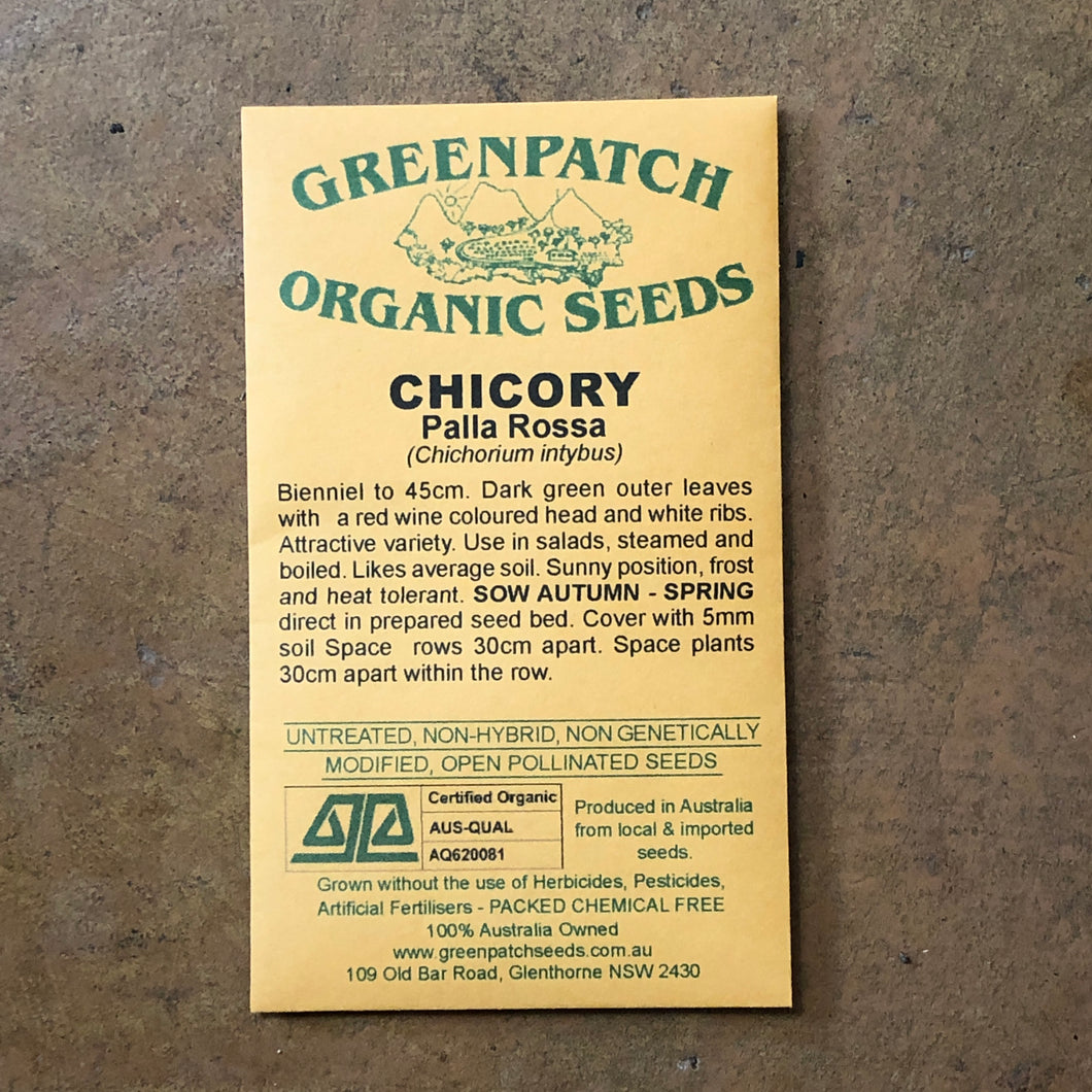Chicory 'Palla Rossa' Greenpatch Seeds