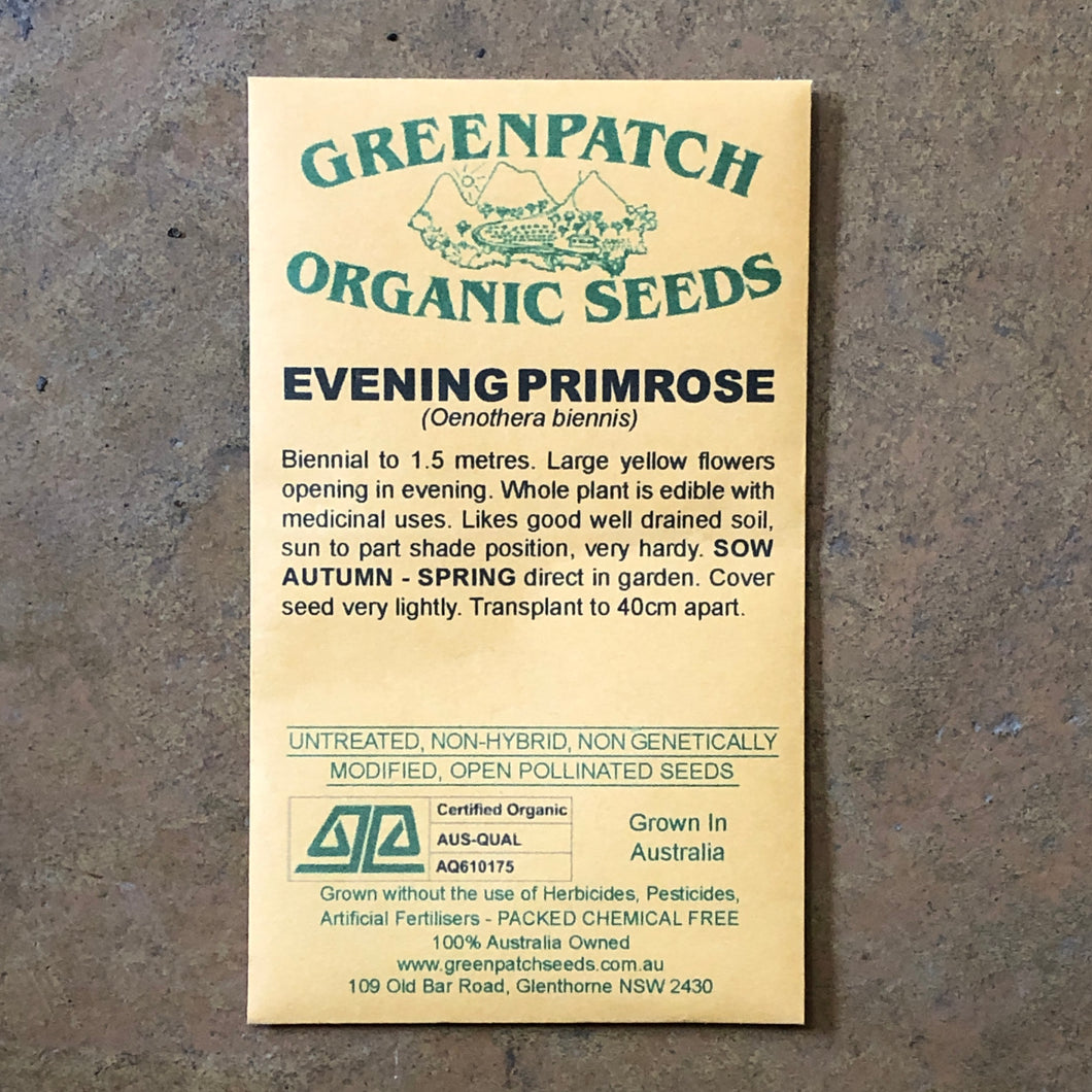 Evening Primrose Greenpatch Seeds