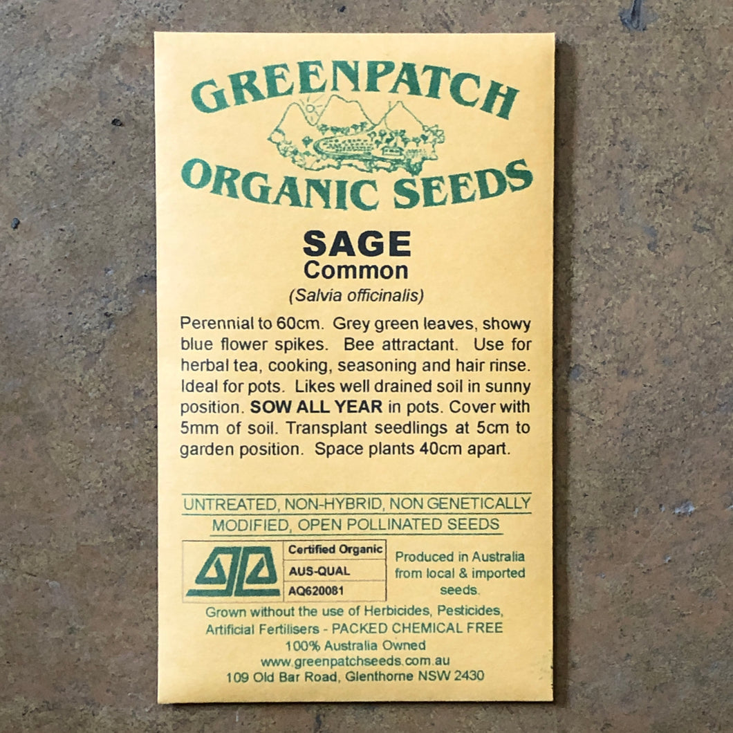 Sage 'Common' Greenpatch Seeds