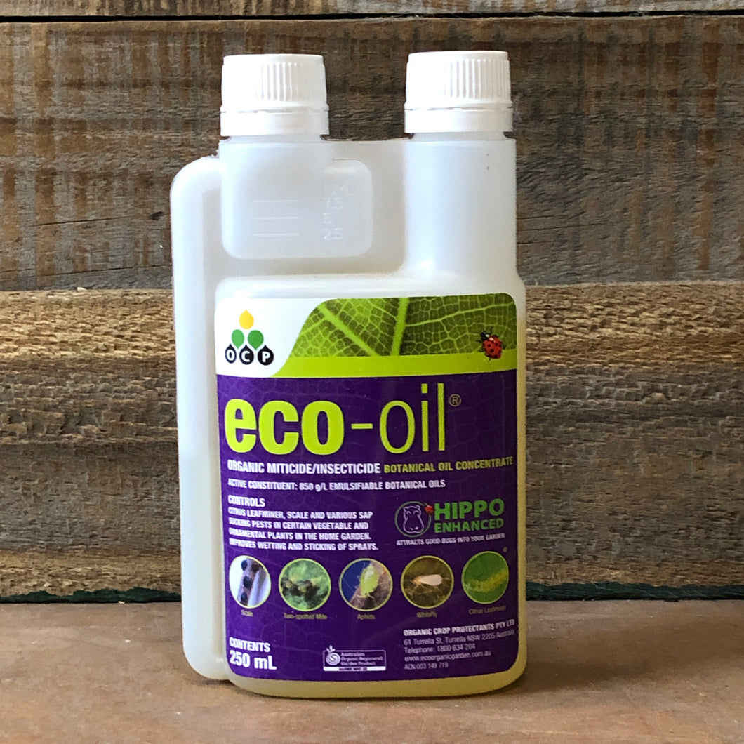 Eco-oil Botanical Oil Concentrate