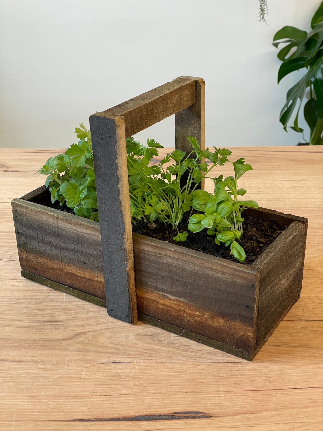 Herb Planter Box