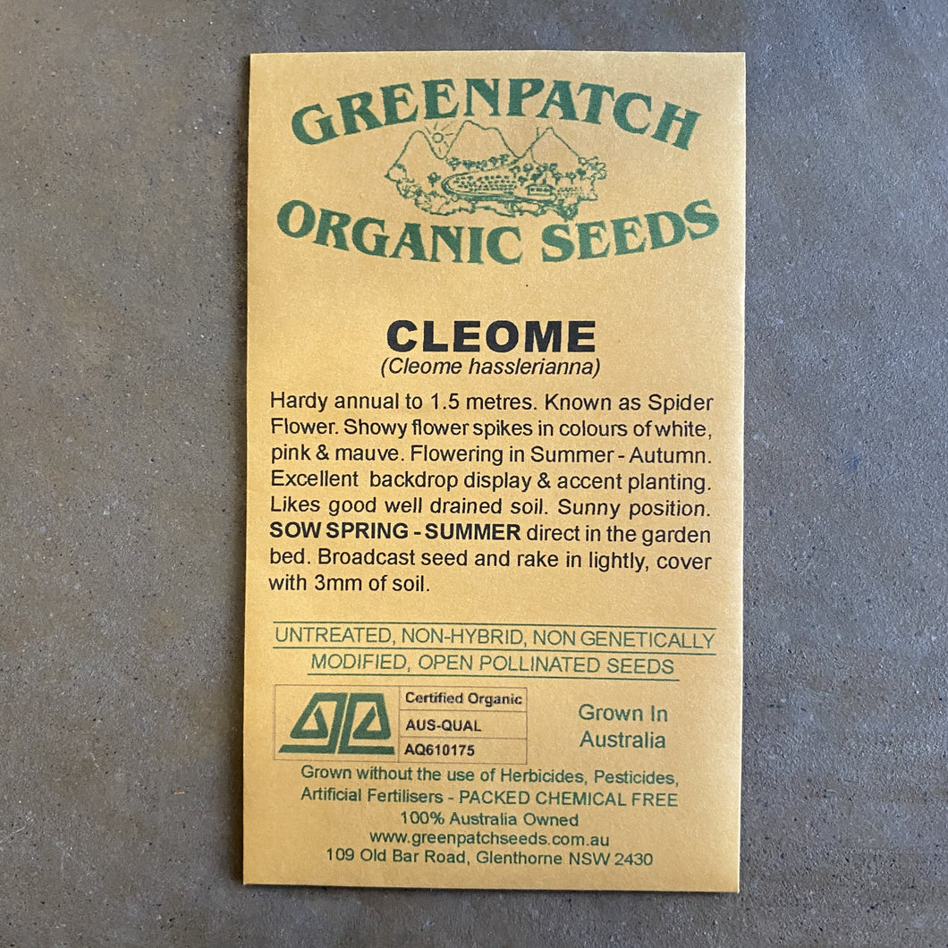 Cleome (Mixed) Greenpatch Seeds