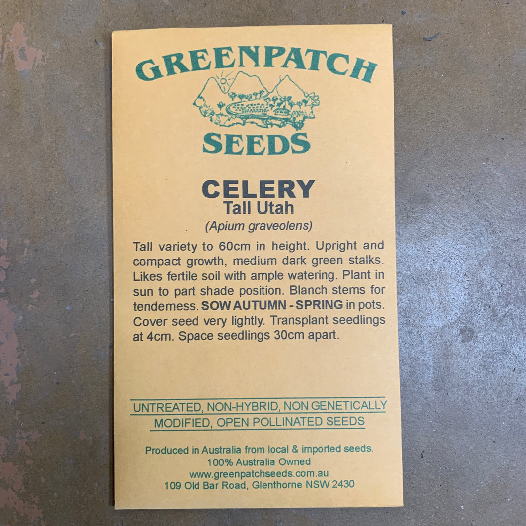 Celery 'Tall Utah' Greenpatch Seeds