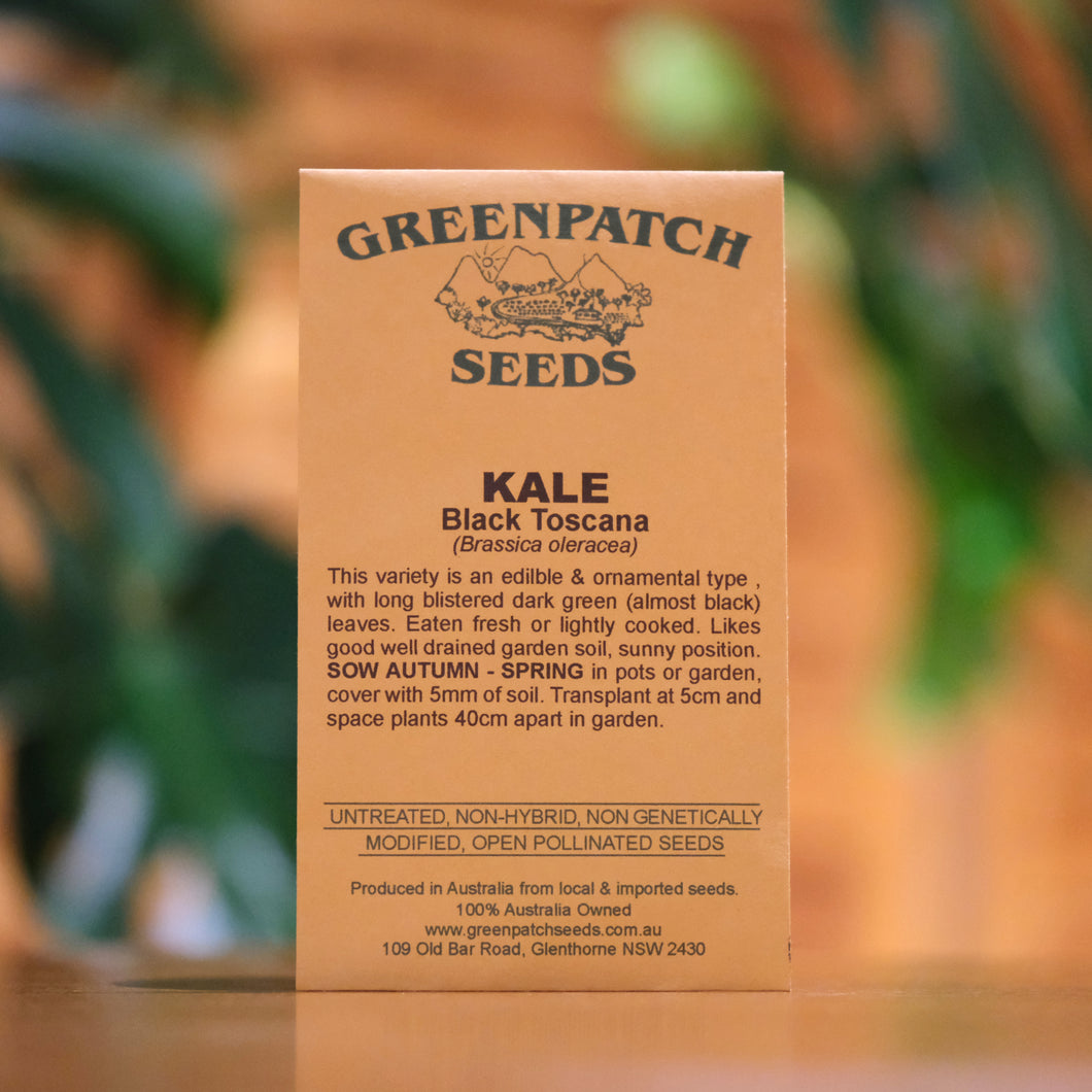 Kale 'Black Toscana' Greenpatch Seeds