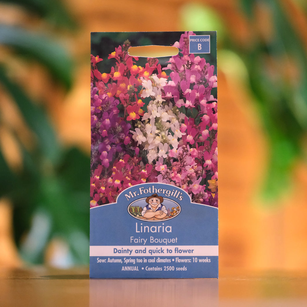 Linaria 'Fairy Bouquet' Seeds