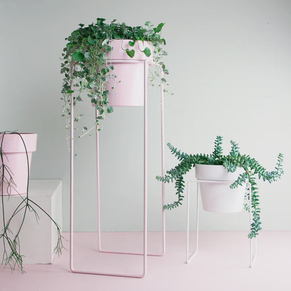 'TALL' Indoor Plant Stand