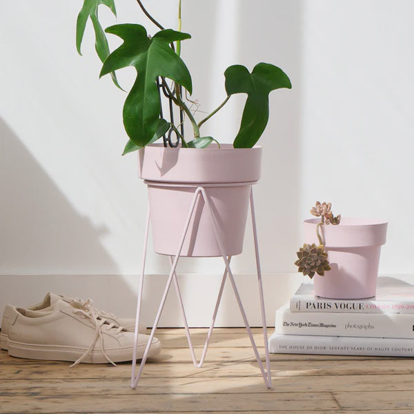 'PLANT' Indoor Plant Stand