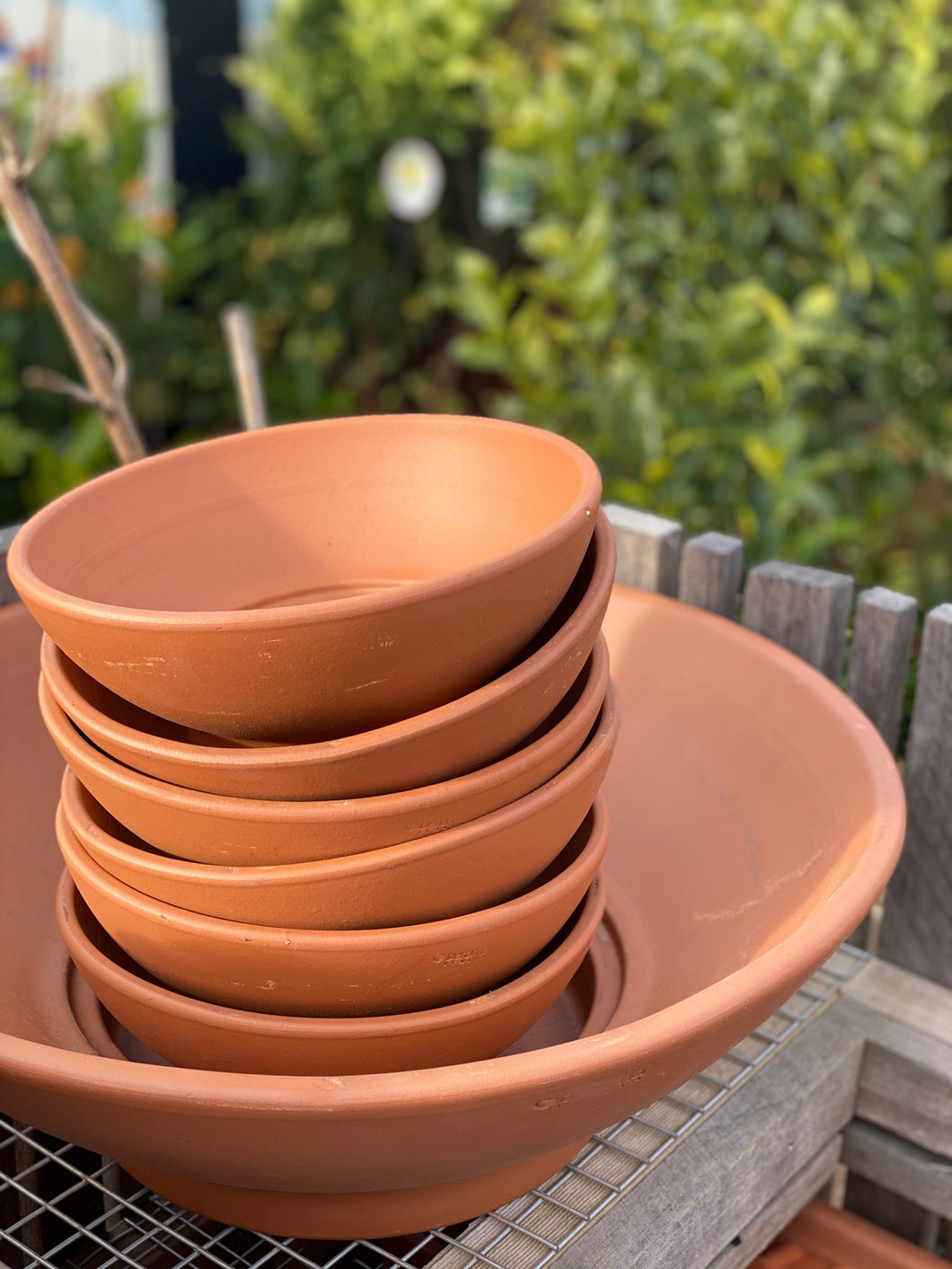 Terracotta Pot - Garden Bowl