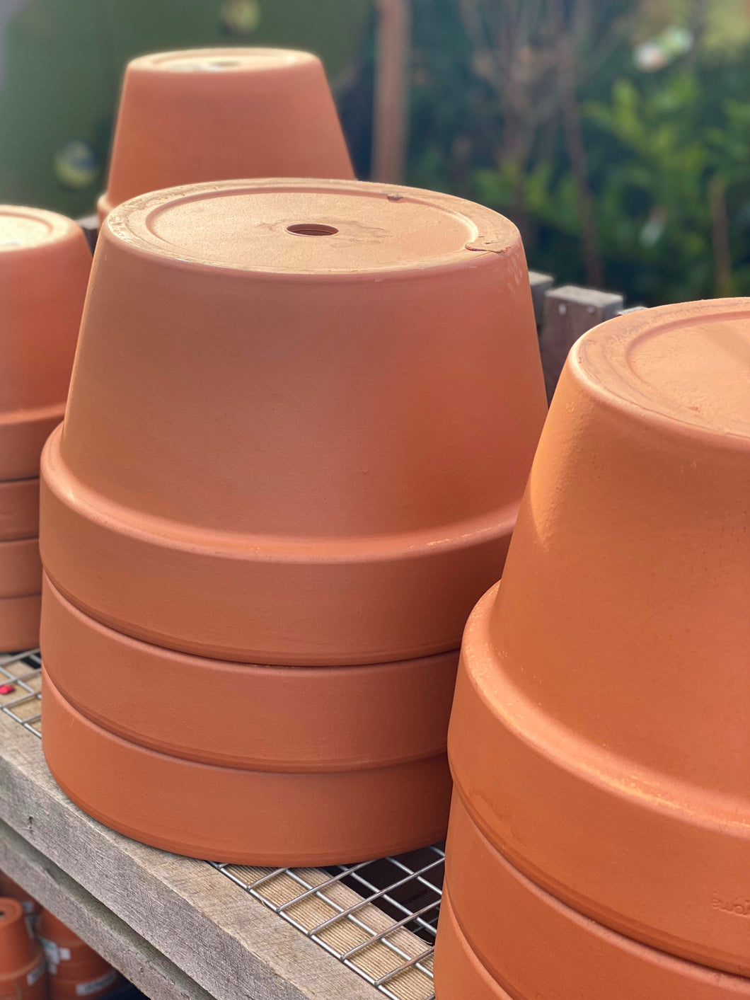 Terracotta Pot - Squat Cone
