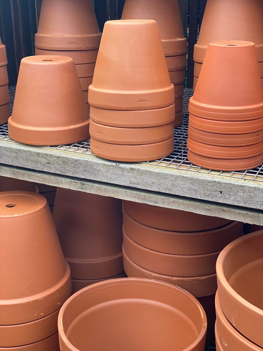 Terracotta Pot - Standard Cone