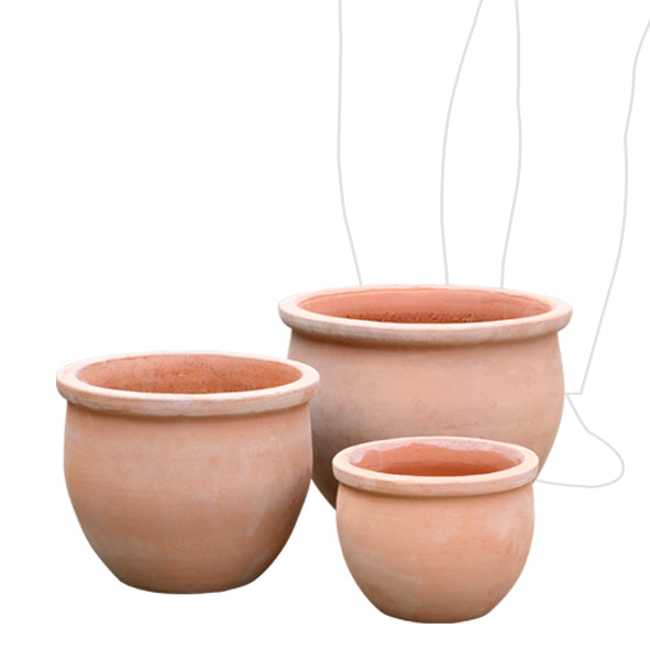 Terracotta Delta Pots