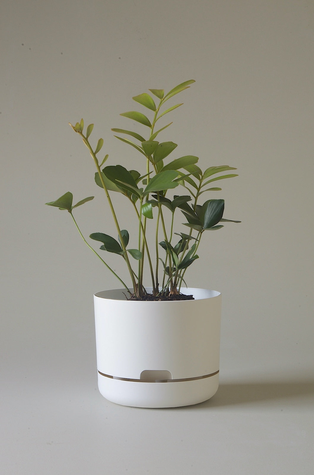 Mr Kitly Selfwatering Plantpot - White Linen