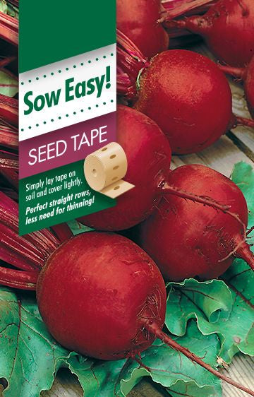 Beetroot 'Boltardy Seed Tape' Seeds
