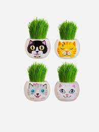 Grass Hair kit - Kittens