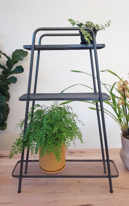 Modern Plant Stand - 3 Shelf