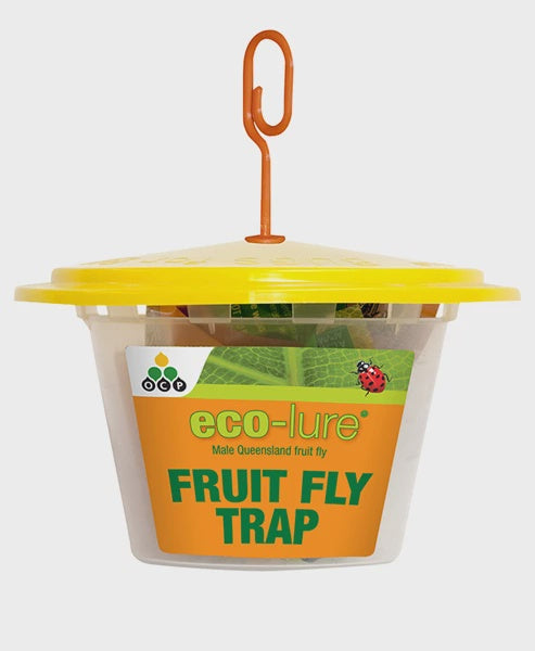 eco-lure Fruit Fly Trap