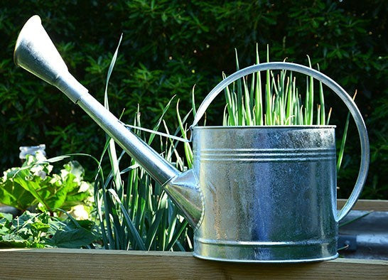 Traditional Galvanised Watering Can 9L
