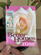Load image into Gallery viewer, Rose &#39;Better Homes &amp; Garden’
