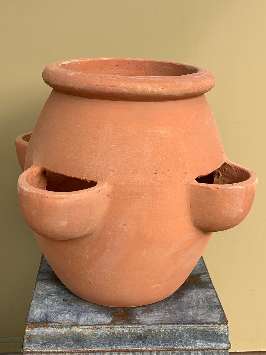 Terracotta - Herb Pot