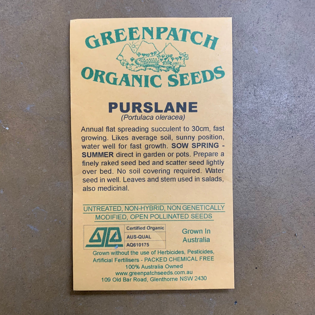 Purslane Greenpatch Seeds