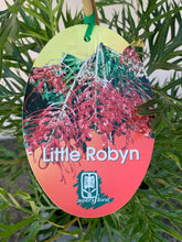 Load image into Gallery viewer, Grevillea ‘Little Robyn’
