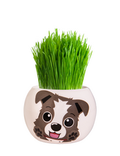 Load image into Gallery viewer, Grass Hair Kit

